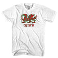 Wales Dragon T-shirt-Adult product image 1