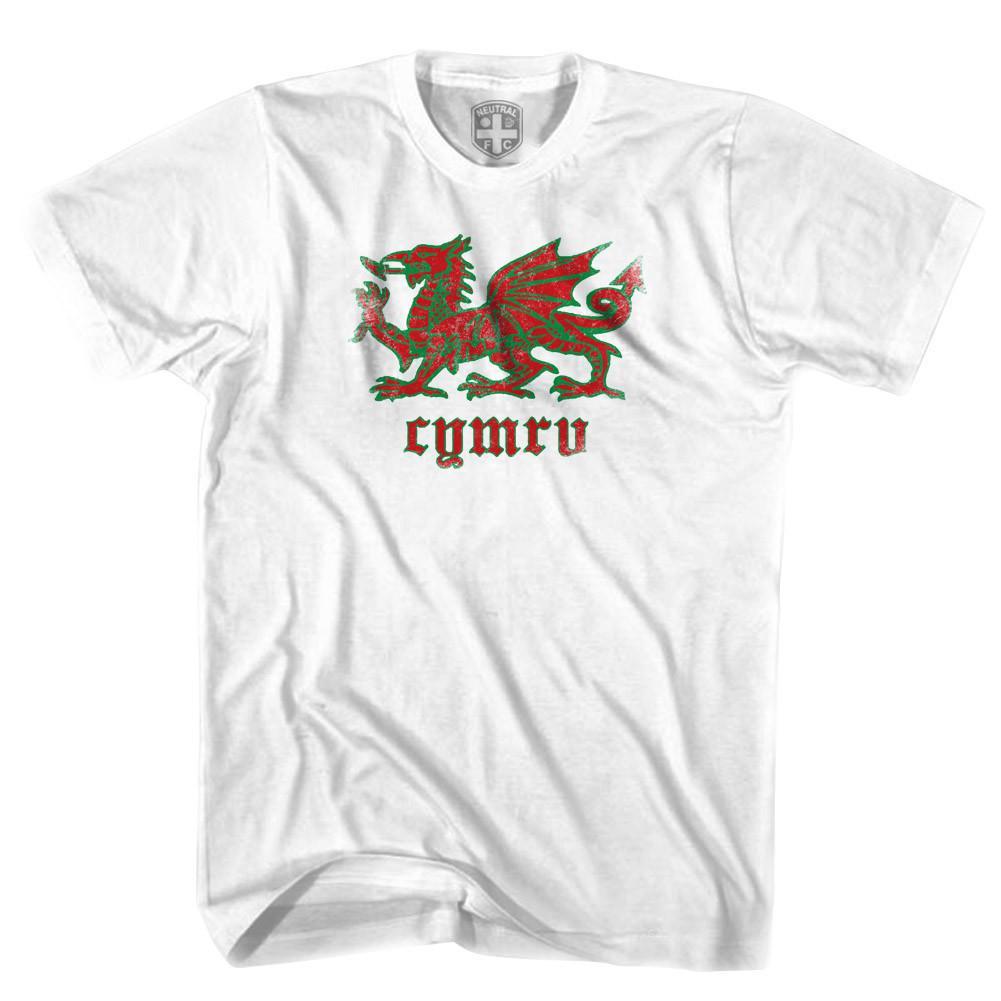 Wales Dragon T-shirt-Adult product image 1